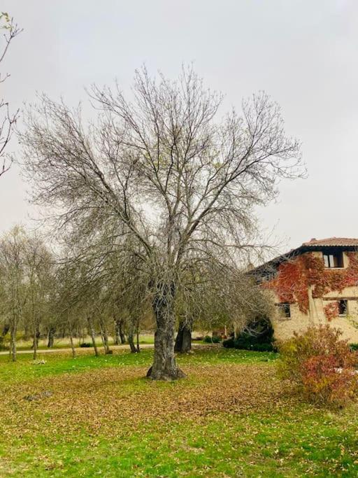 Casa Rural La Fresneda De Tenzuela Segovia Exteriör bild